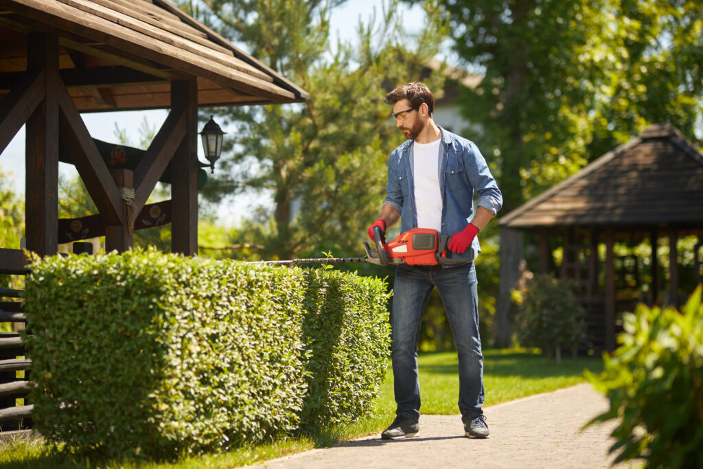 lawn image of a man