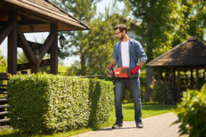 lawn image of a man