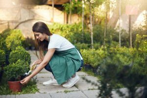lawn gardening